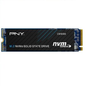 SSD PNY CS1030 M2